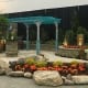 Virginia Beach hotel - events - Virginia Flower and Garden Expo