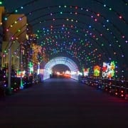 Virginia Beach hotel - events - Holiday Lights on the Beach