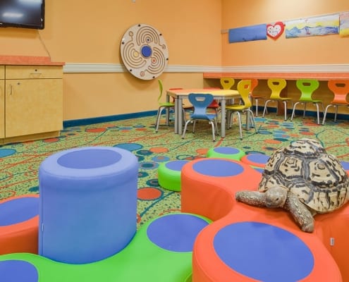 Virginia Beach hotel - Splash Kamp - childrens activity center