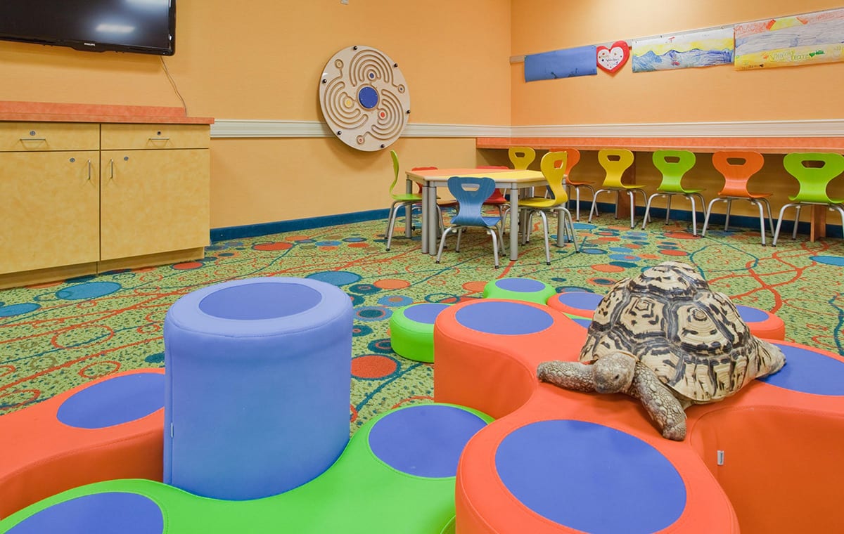 Virginia Beach hotel - Splash Kamp - childrens activity center
