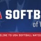 USA Softball of Virginia State Championship