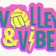 Virginia Beach Sports Center event - Volley and Vibe