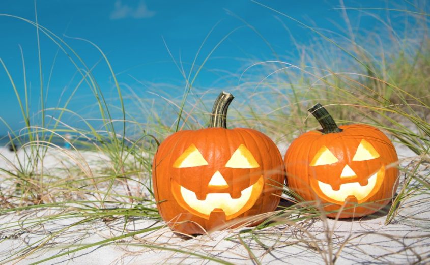 Things to Do in Virginia Beach this October | Virginia Beach Hotels