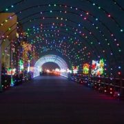Come celebrate the holidays on the beach! We love the holiday season on the Virginia Beach Oceanfront! The Boardwalk is lighting up with The Holiday Lights at the Beach.