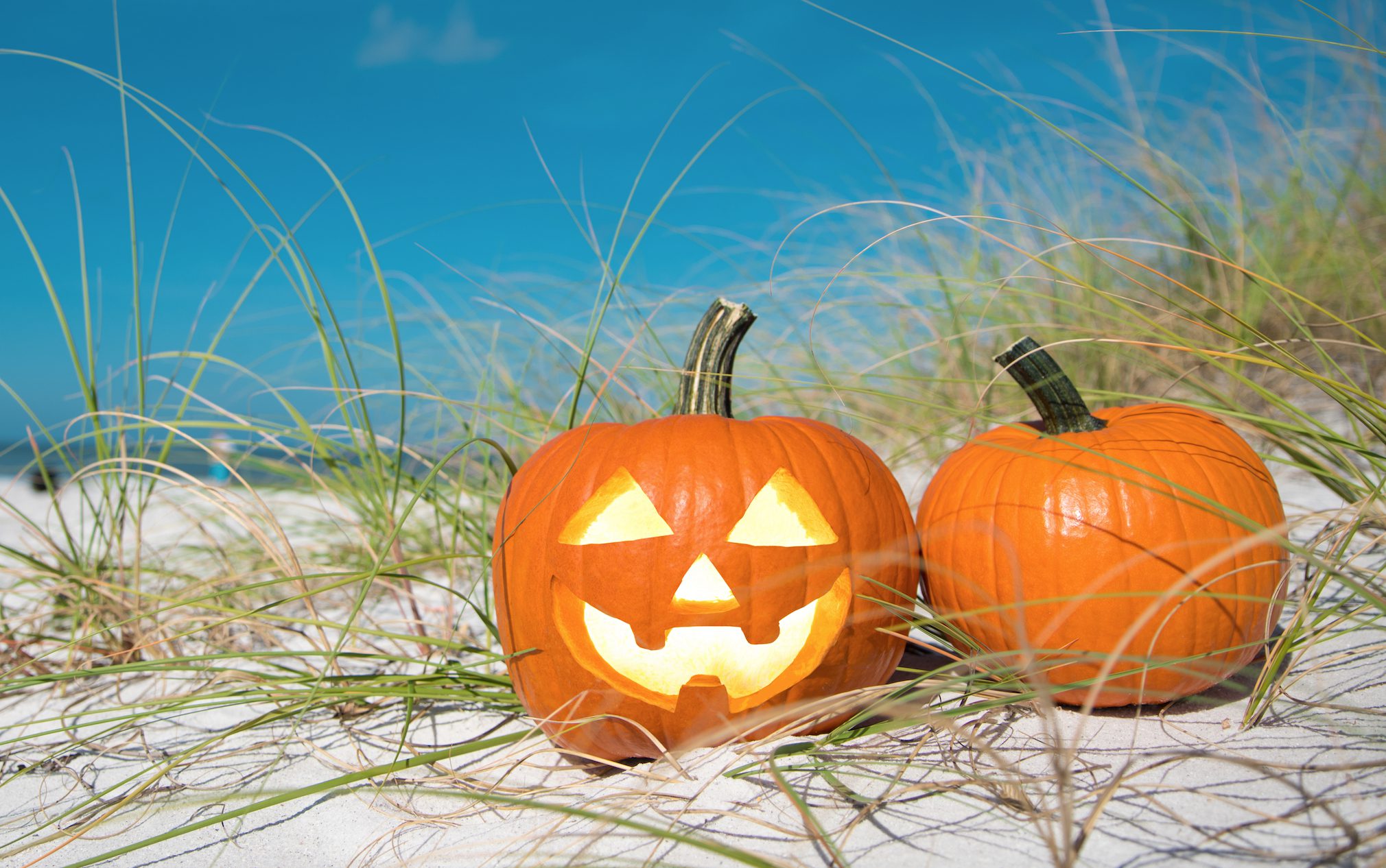 Halloween events in Virginia Beach : Hotel Specials