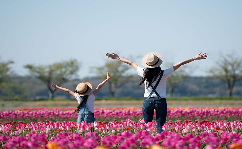 Easter Escape - Virginia Beach Oceanfront Hotel Special