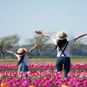 Easter Escape - Virginia Beach Oceanfront Hotel Special