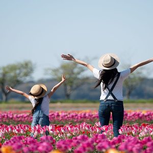 Easter Escape - Virginia Beach Oceanfront Hotel Special
