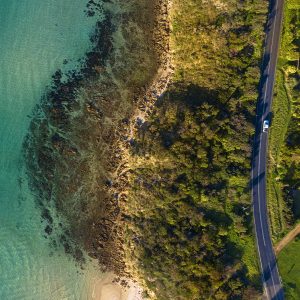 Special offers on Virginia Beach Oceanfront Hotel - AAA member discount